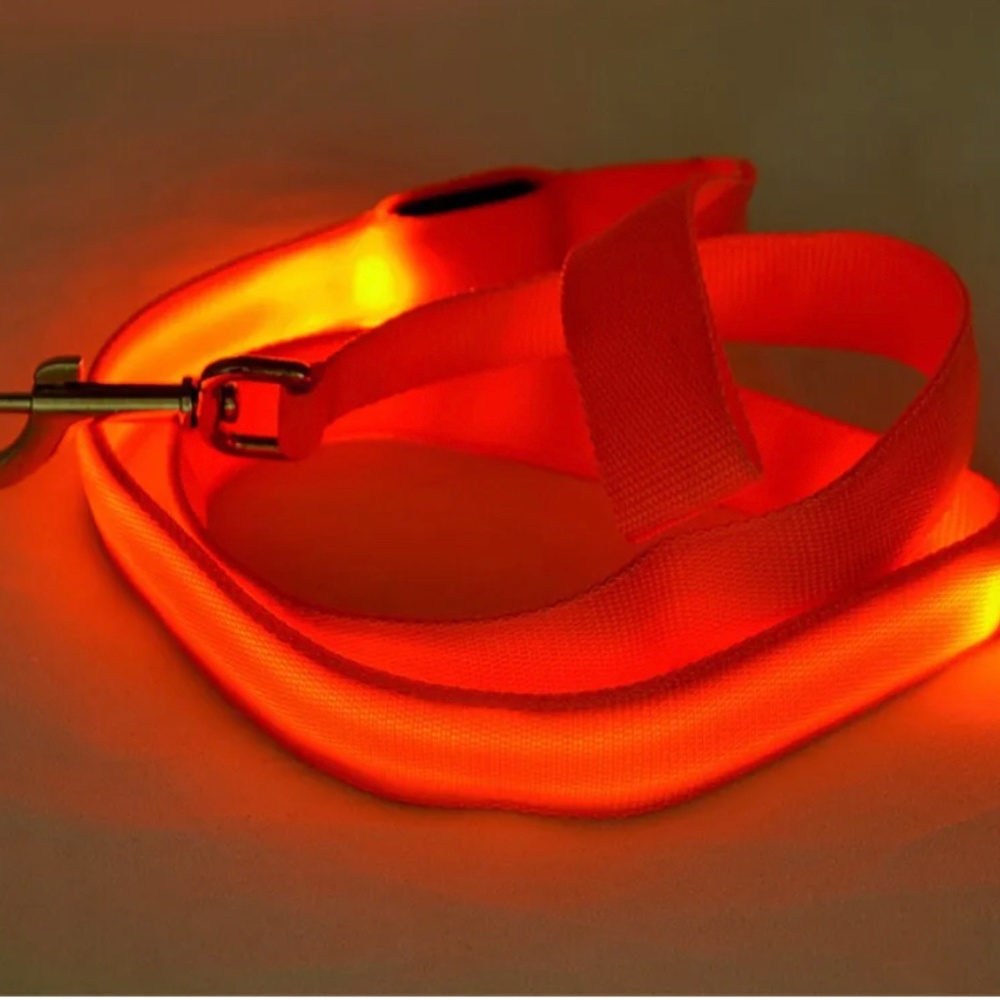 LED DOG LEASH - Picture 2 of 3